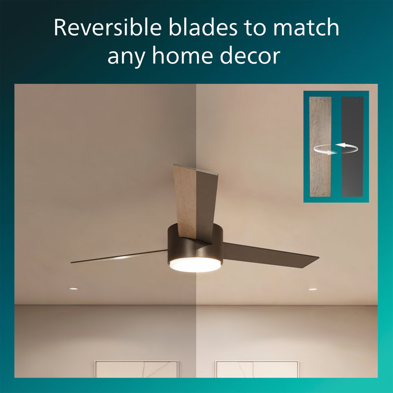  Ventilateur de plafond d'intérieur à DEL 52 pouces à 3 pales avec lumière vive 3CCT, télécommande 6 vitesses, moteur CC réversible et minuterie, tiges verticales 5 "/ 10"