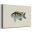 Toile tendue collection Tropical Fish Collection VI-Gallery-78548440