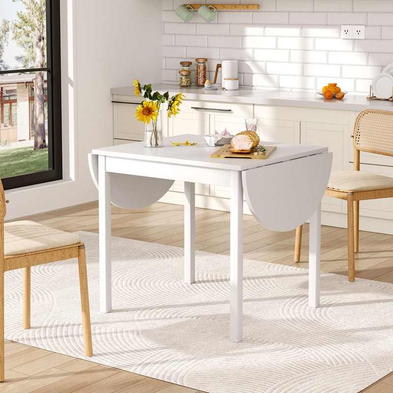 17 Stories Expandable Oval Wooden Dining Table White