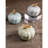 Dragonfly Scallop Boxes