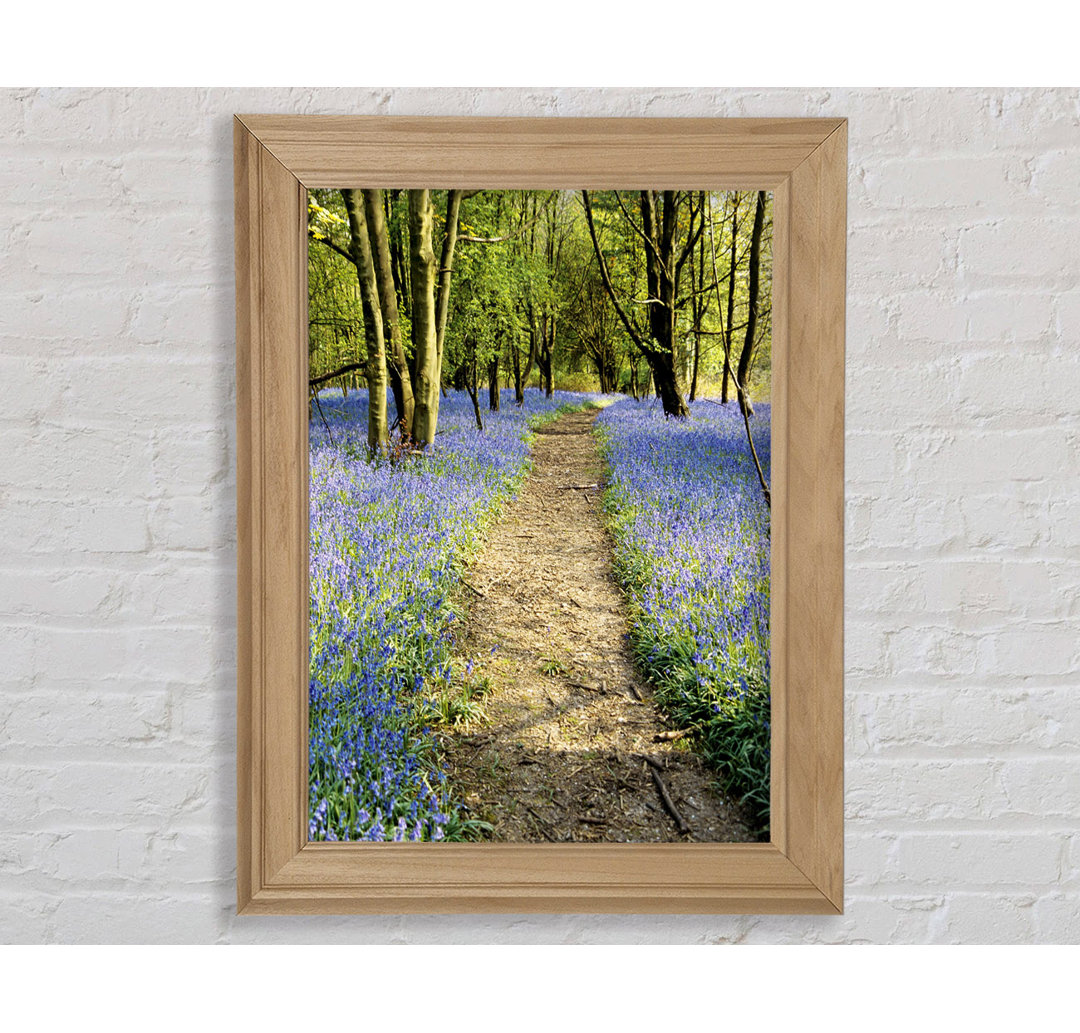 Bluebell Path - Drucken