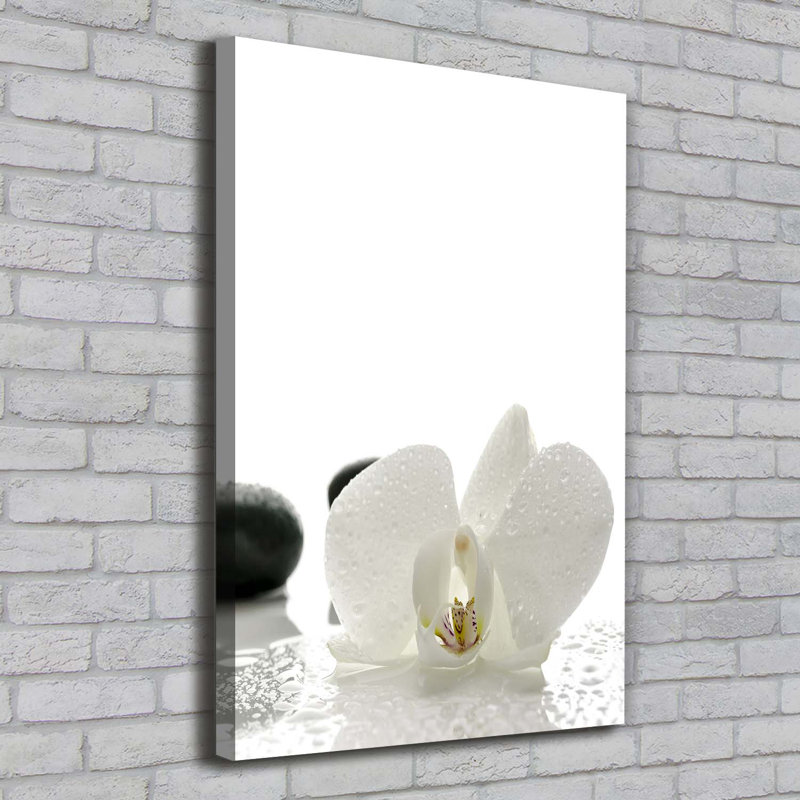 Orchid And Stones - Wrapped Canvas Print