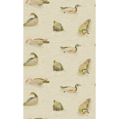 Duck Pond