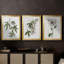 Tropical Botanical I - Toile tendue avec châssis sur mesure - 3 pièces-174538444-174538416