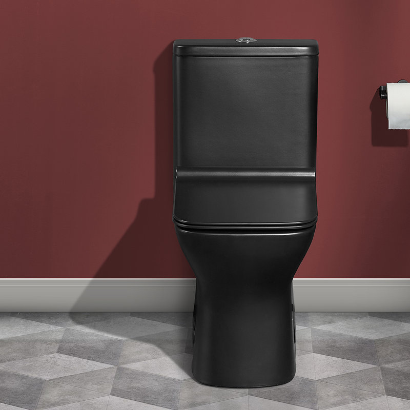 Carre One-Piece Square Toilet Dual-Flush in Matte Black 1.1/1.6 gpf, Matte Black