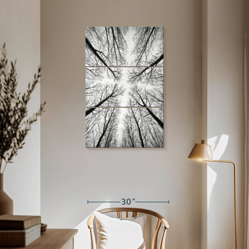 Harnek Monochrome Bare Trees, 57" H x 36" W