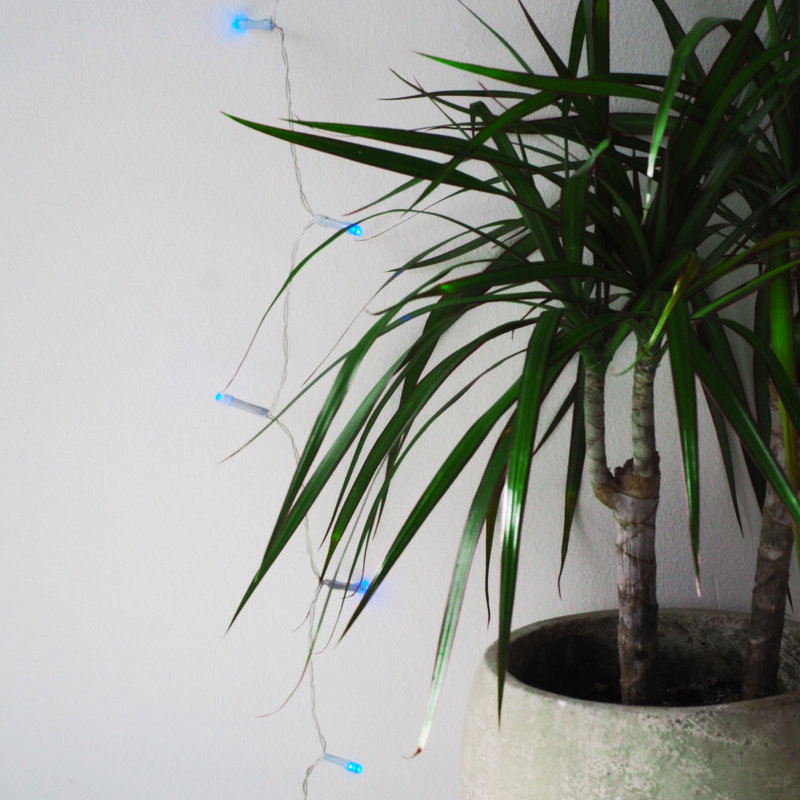 String Lights, 4M, Blue