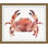 Coral Crab Impression 2 Print