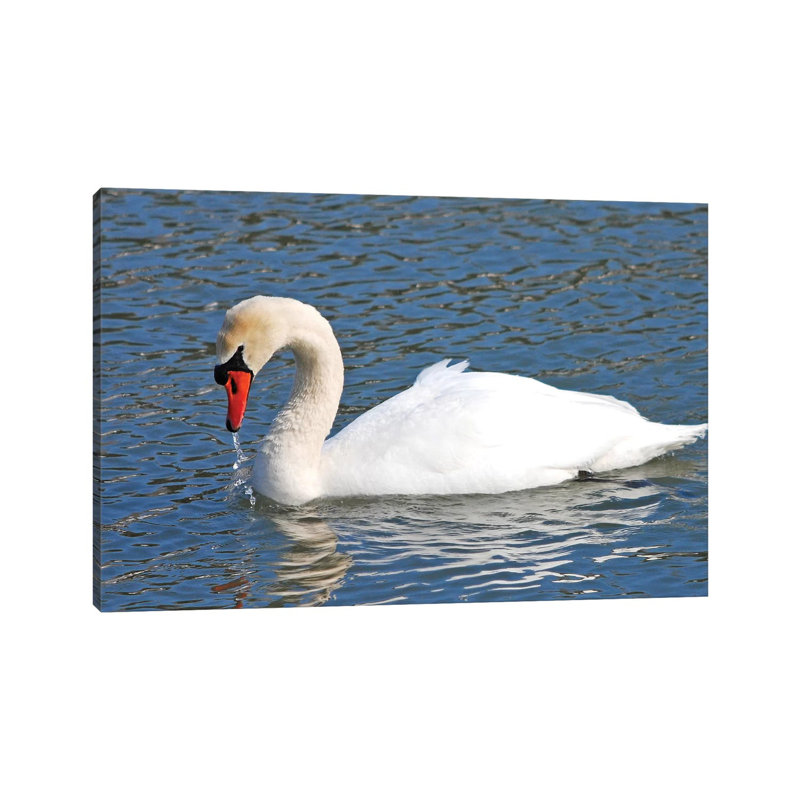 Mute Swan 1 Piece Wrapped Canvas Wall Art, 30.48cm H x 45.72cm W x 1.91cm D