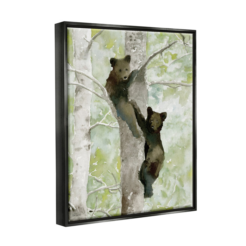 Bear Cubs Climbing Tree Nature - impression, Cadre flottant noir de jais, H 31 po x l 25 po x P 1,7 po