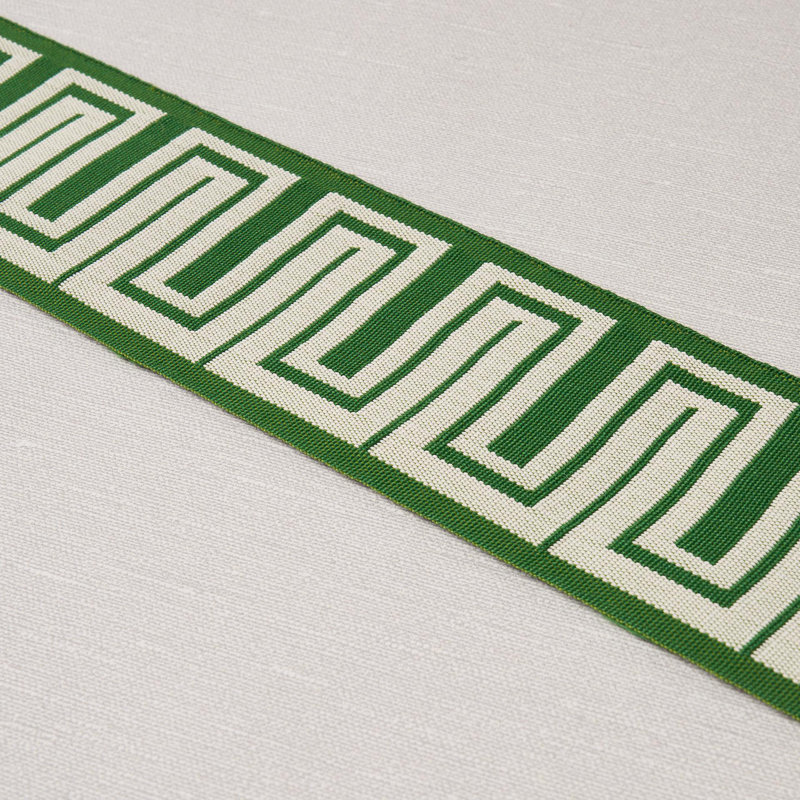 Schumacher x Mary McDonald Zeus Indoor/Outdoor Tape, Green