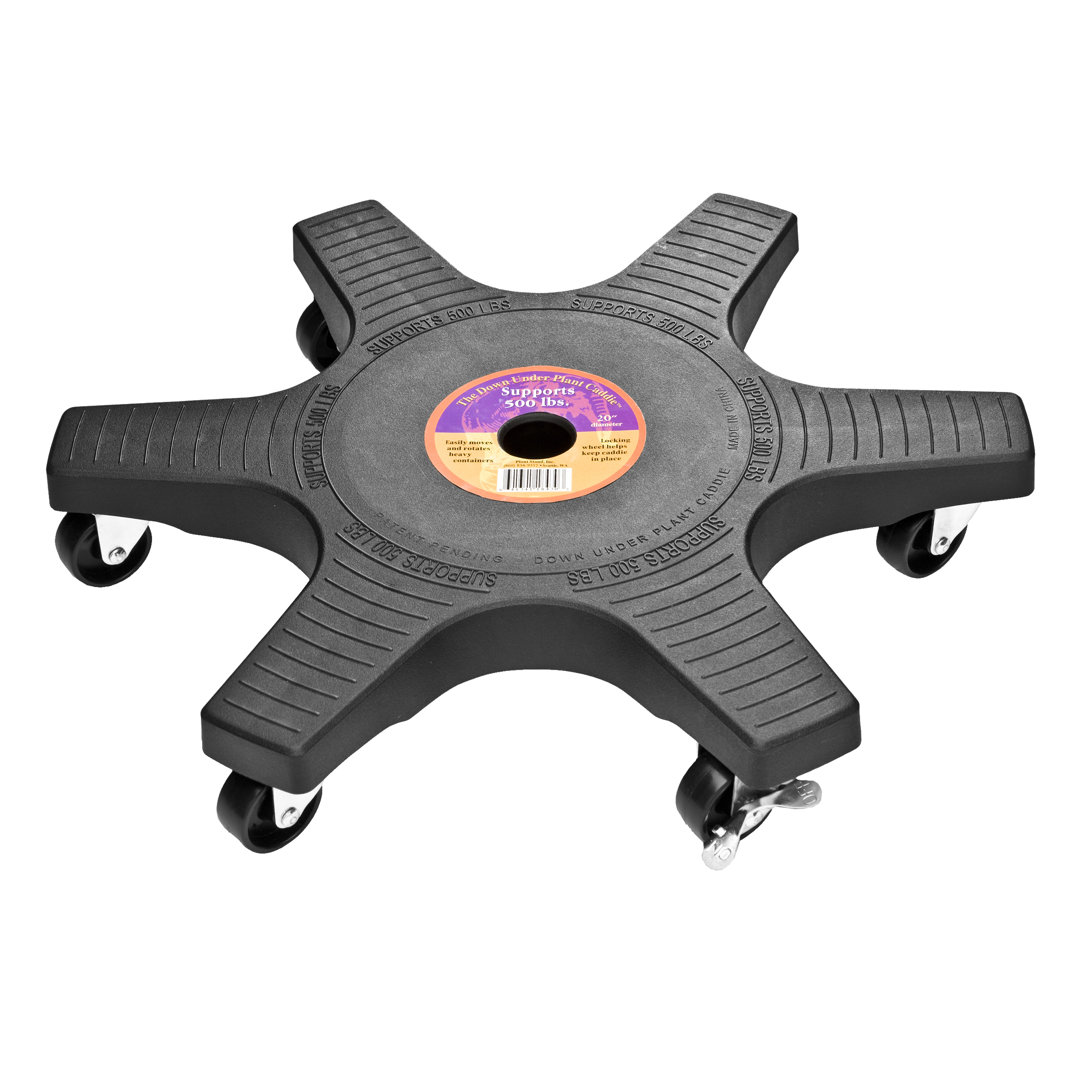 Brutus Caddy Plant Stand Arlmont & Co.