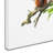 'Red Squirrel' Print on Wrapped Canvas-21938357