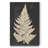 Linen Fern I Canvas Painting Print-221848575
