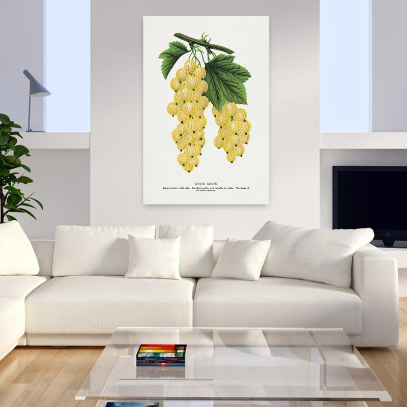 «White Grape Lithograph Abstract Retro Vintage Flower Landscape», art mural, H 48 po x l 32 po