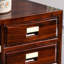 Armoire à chaussures haut de gamme de luxe de style chinois