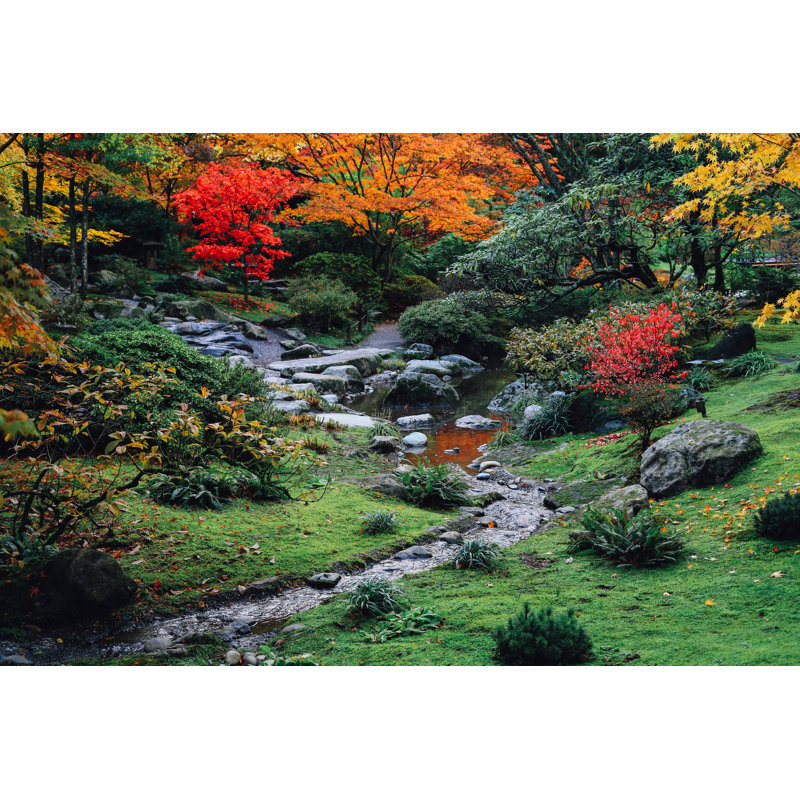 Autumn Garden - Photographie sur toile tendue, H 12 po x l 18 po