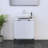 Lissia 23.6'' Single Bathroom Vanity with Top-1093347522-1093347521