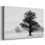 Inky Trees -Gallery Wraraped Cavas-2068968414