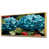 Gold Floater Framed
