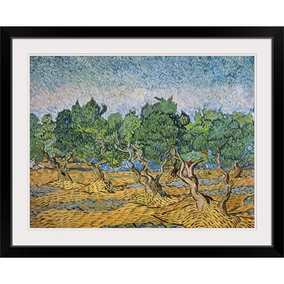 " Olive Orchard, Violet Soil " by Vincent Van Gogh Oil Print