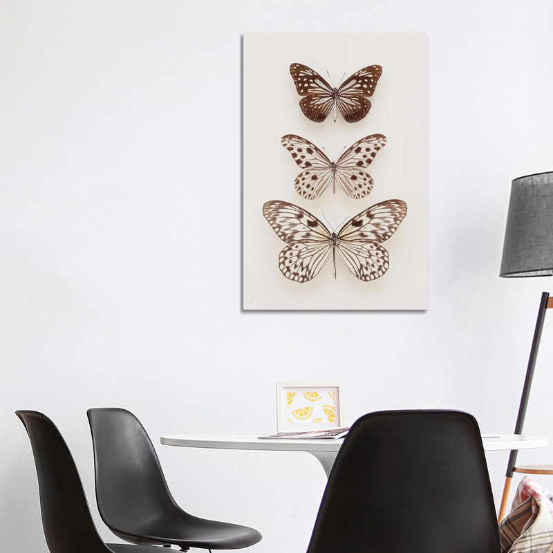 Three Butterflies by Alyson Fennell - Wrapped Canvas Print, 101.6 cm H x 66.04 cm W x 1.91 cm D