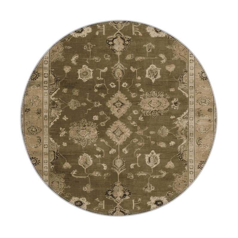 Tapis intérieur et extérieur brun Overdyed, Rond 5 pi