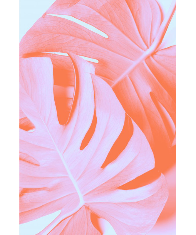 Monstera 03, 50.8cm H x 76.2cm W