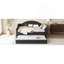 Lit de jour capitonné capitonné avec couchette, canapé-lit en velours avec ports USB et ports de charge de type C, aucun sommier nécessaire-1560401041