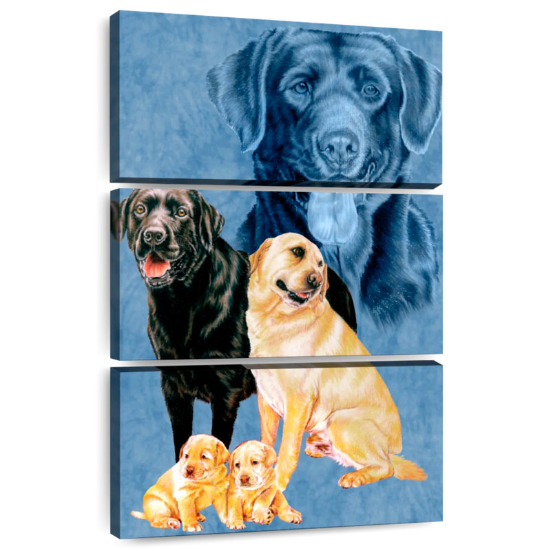 Brampton Labrador Retriever, H 32 po x l 20 po