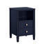 Winston 2-drawer storage Nightstand-1602618756