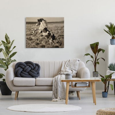 "L'arrière-train tacheté cheval campagne champêtre" par Lisa Dearing - photographie sur toile tendue