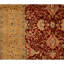 Hand Knotted Oriental Area Rug in Red And Gold