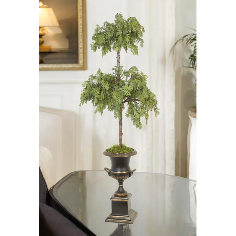 Cedar Topiary in Bronze Urn with Handles