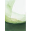 «Serene Green Landscape» par Arohika Verma - Art mural abstrait - reproduction encadrée 12 x 18 (or)