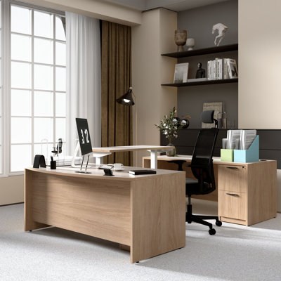 112'' Height Adjustable U-Shaped Executive Desk With Dual Motor Sit-Stand Platform And Lockable File Cabinet