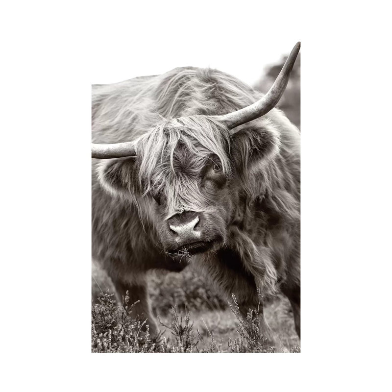 The Bull 1 Piece Wall Art on Canvas, 45.72cm H x 30.48cm W x 1.91cm D, Wrapped Canvas