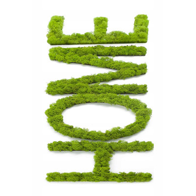 Durable 3D Printed Area Rug, 50 x 80 cm (1.6 x 2.6 ft), 100% Polyester, 650 g/m² | Non-Slip PVC Dot Underside, Machine Washable, Soft Pile Height: 0.3 in | Perfect for Living Rooms, Bedrooms, & Kids’ Spaces