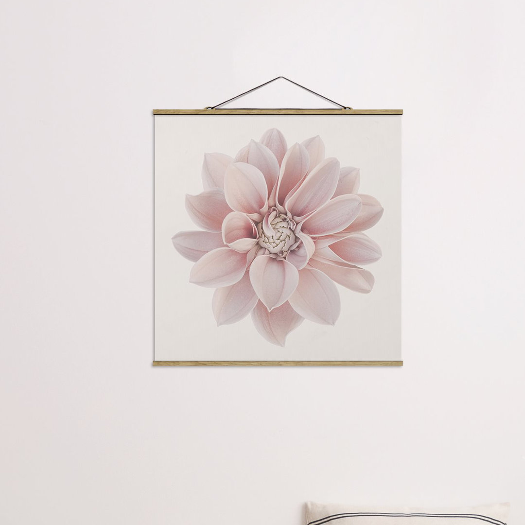 Stoffbild Dahlia Flower Pastel White Pink