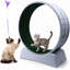 Cat Accessory