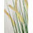 Faux Dogtail Grass in Pot-1358990285