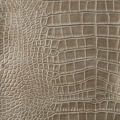 Ankora Design Fabric