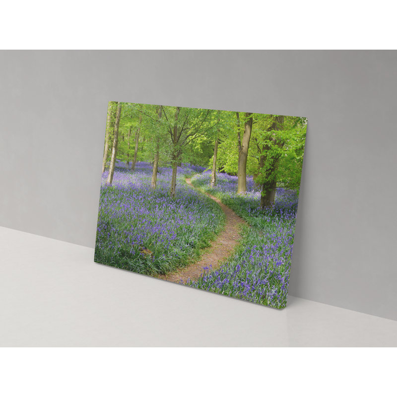 Bluebell Trail - Wrapped Canvas Print, 36cm H x 52cm W x 4cm D