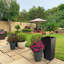 Plant Pot-788838800-795294482