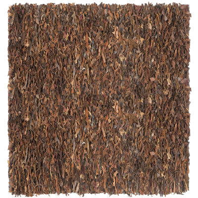Assar Shag Saddle Area Rug