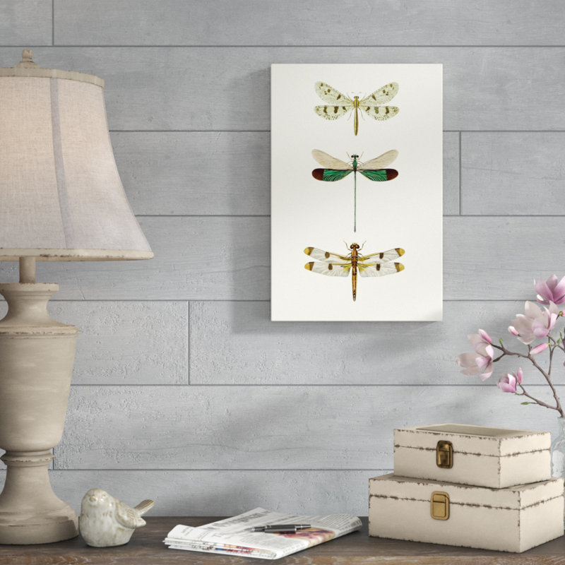 «Entomology Series VII», peinture sur toile, H 18 po x l 12 po