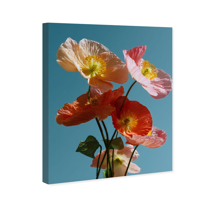 Poppy Bloom II Print by Oliver Gal, Gallery Wrapped, 16"H x 20"W