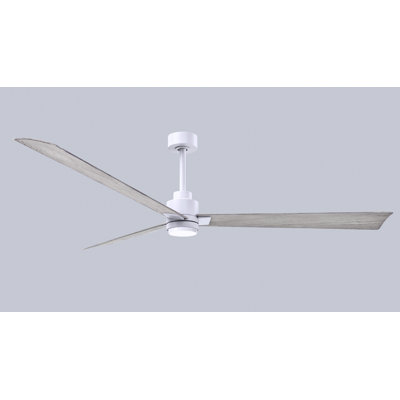 Alessandra Ceiling Fan