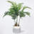 Cavazos 36'' Faux Palm Tree in Wicker/Rattan Planter