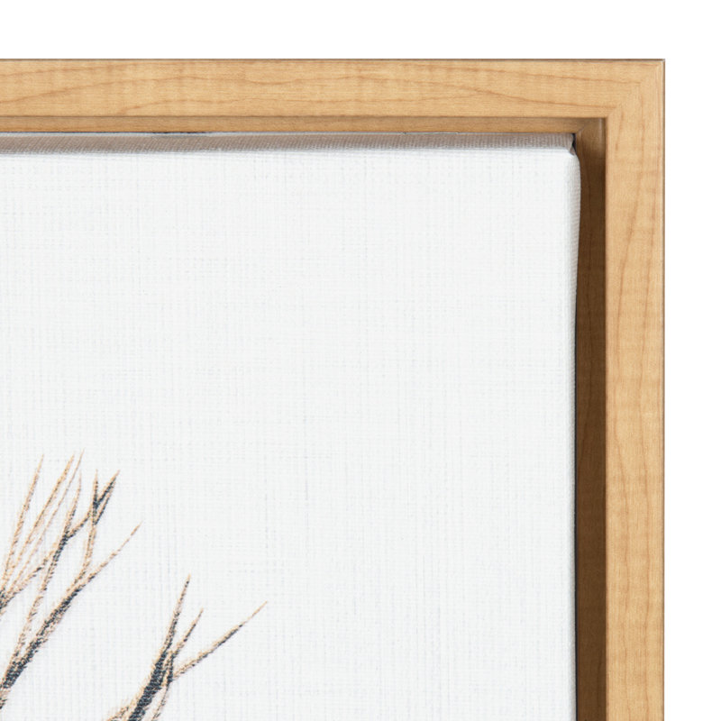 «Peacock Feather» par Simon Te, reproduction d'art sur toile encadrée, Naturel
